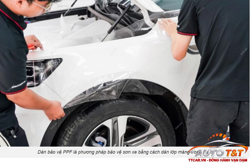 Địa chỉ dán PPF ô tô uy tín, chất lượng nhất hiện nay TT CAR TayNinh